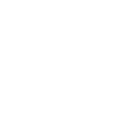 safety-solution_logo_512_w